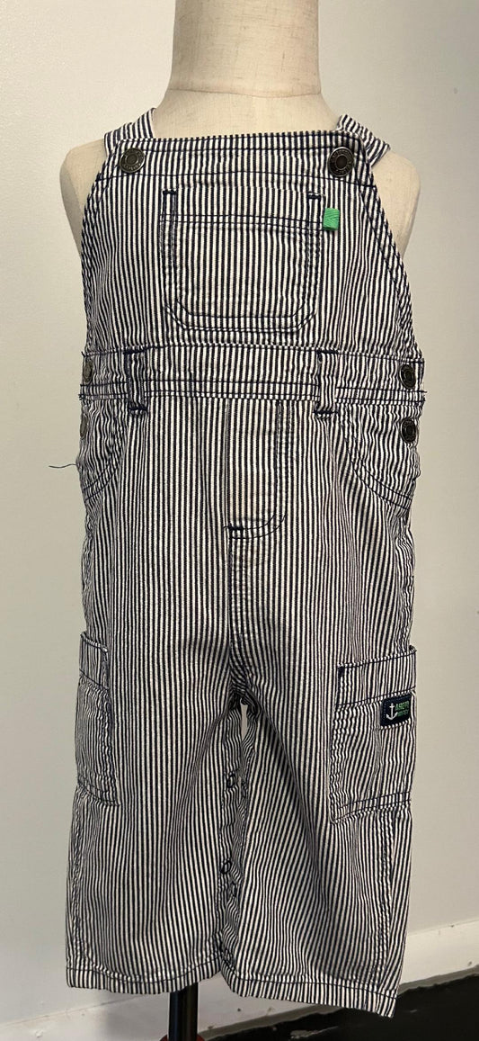 Carter's Pinstripe Overalls in a size 18 months with an imagination